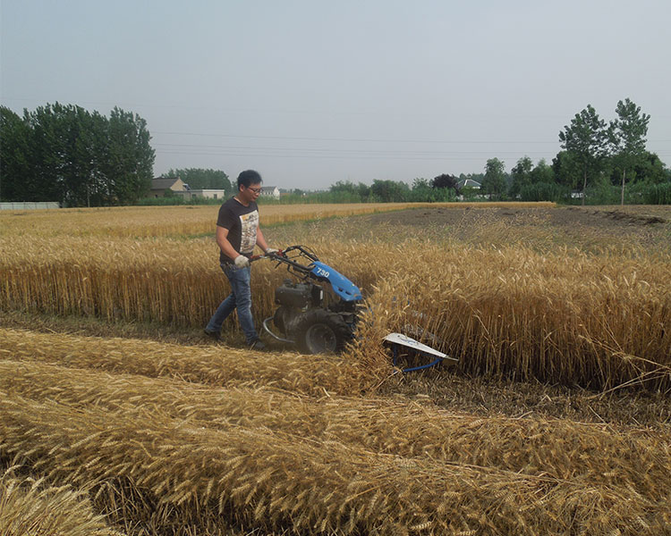 小型手扶小麥?zhǔn)崭顧C(jī)